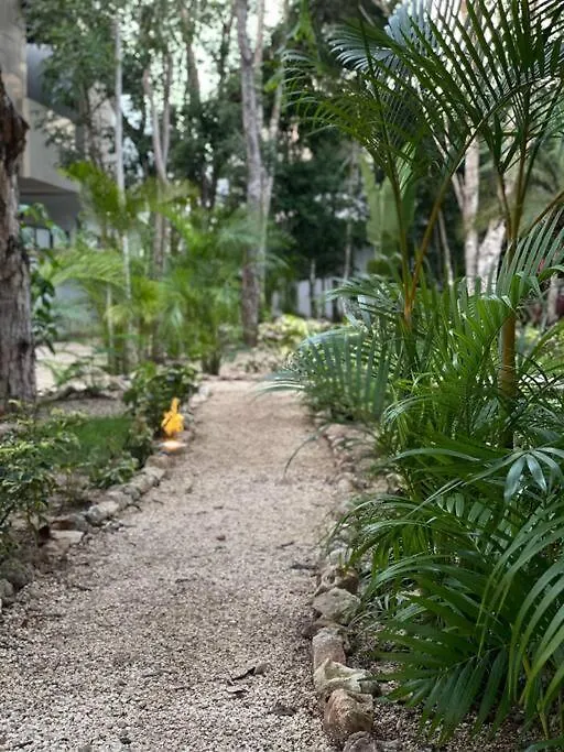 Big New House In Selvanova Coto 9 Playa del Carmen Holiday home